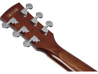 Ibanez PF16WCE-NT Ibanez PF16WCE-NT
